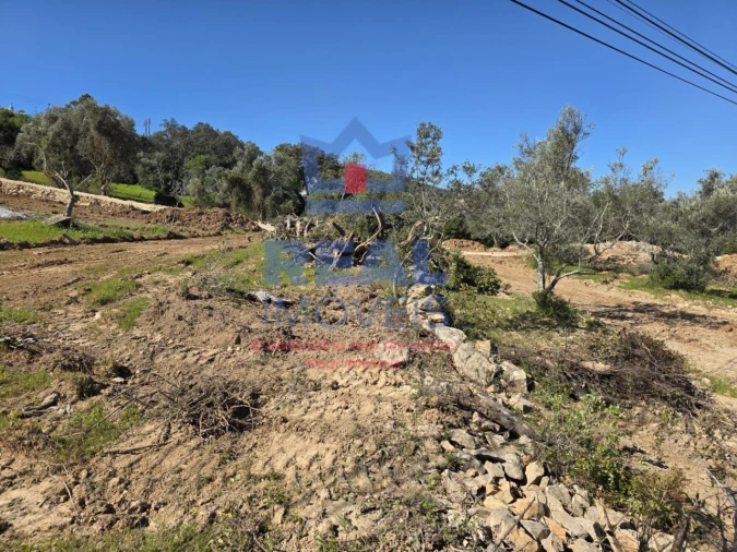 Terreno para Venda em Santa Barbara de Nexe Foto 11