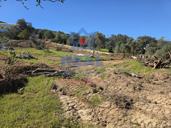 Terreno para Venda em Santa Barbara de Nexe Foto 12