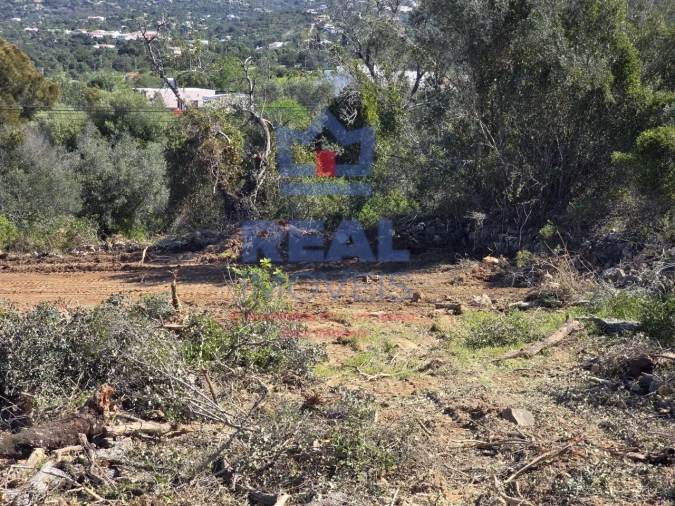 Terreno para Venda em Santa Barbara de Nexe Foto 17