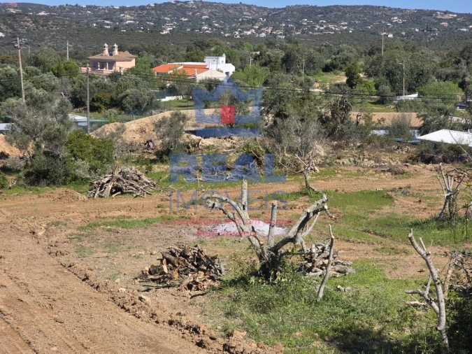 Terreno para Venda em Santa Barbara de Nexe Foto 18