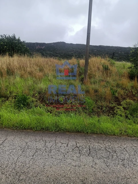 Terreno Agricola ou Rústico para Venda em Salir