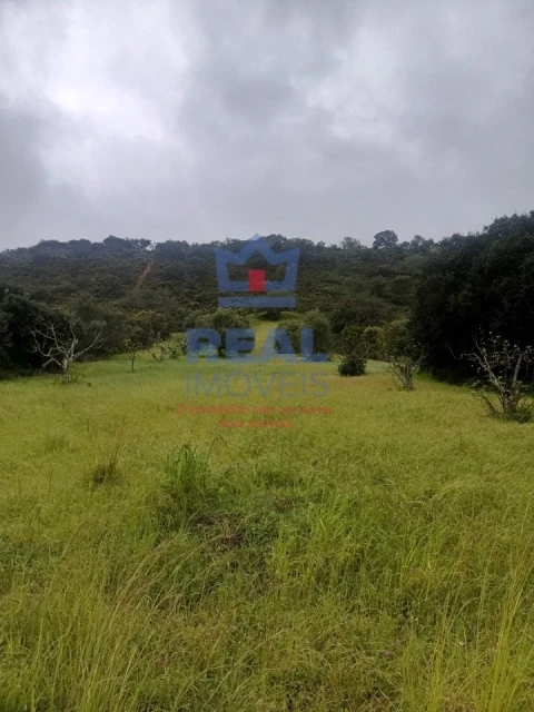 Terreno Agricola ou Rústico para Venda em Salir