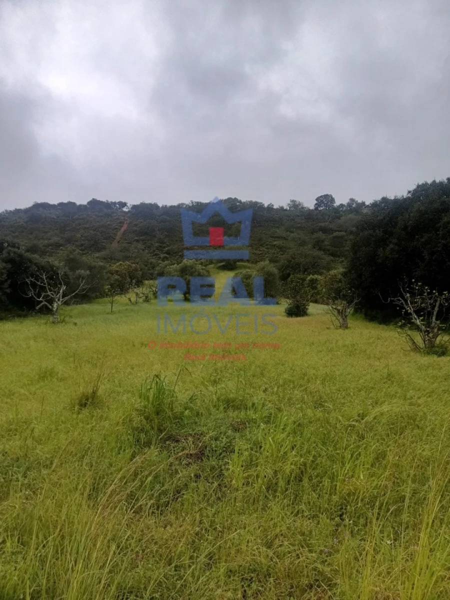 Terreno Agricola ou Rústico para Venda em Salir Foto 2