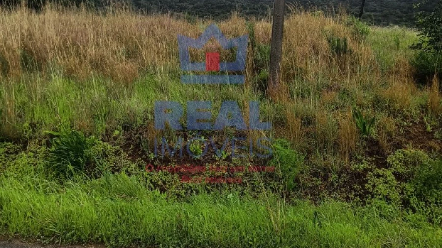 Terreno Agricola ou Rústico para Venda em Salir