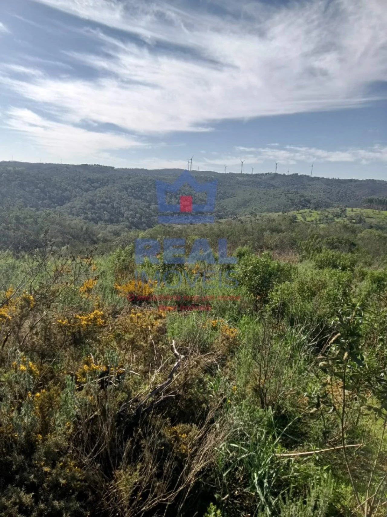 Terreno para Venda em Almodôvar e Graça dos Padrões Foto 1