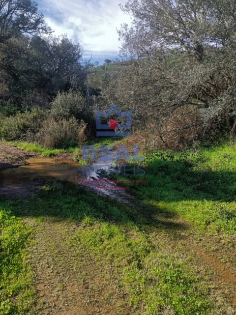Terreno para Venda em Almodôvar e Graça dos Padrões
