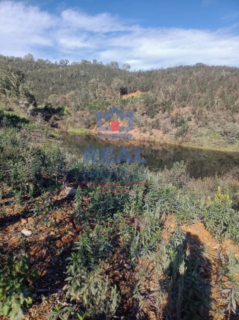 Terreno para Venda em Almodôvar e Graça dos Padrões