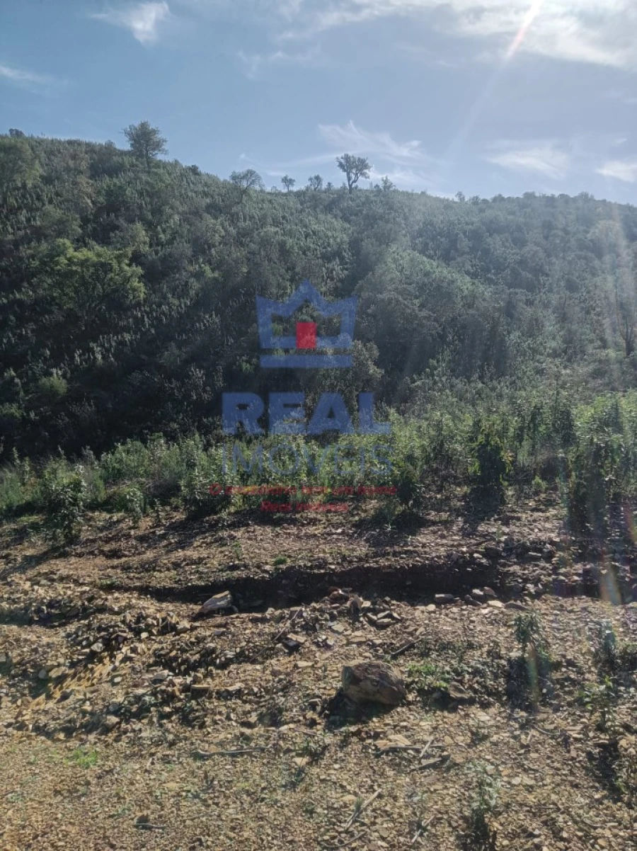 Terreno para Venda em Almodôvar e Graça dos Padrões Foto 2
