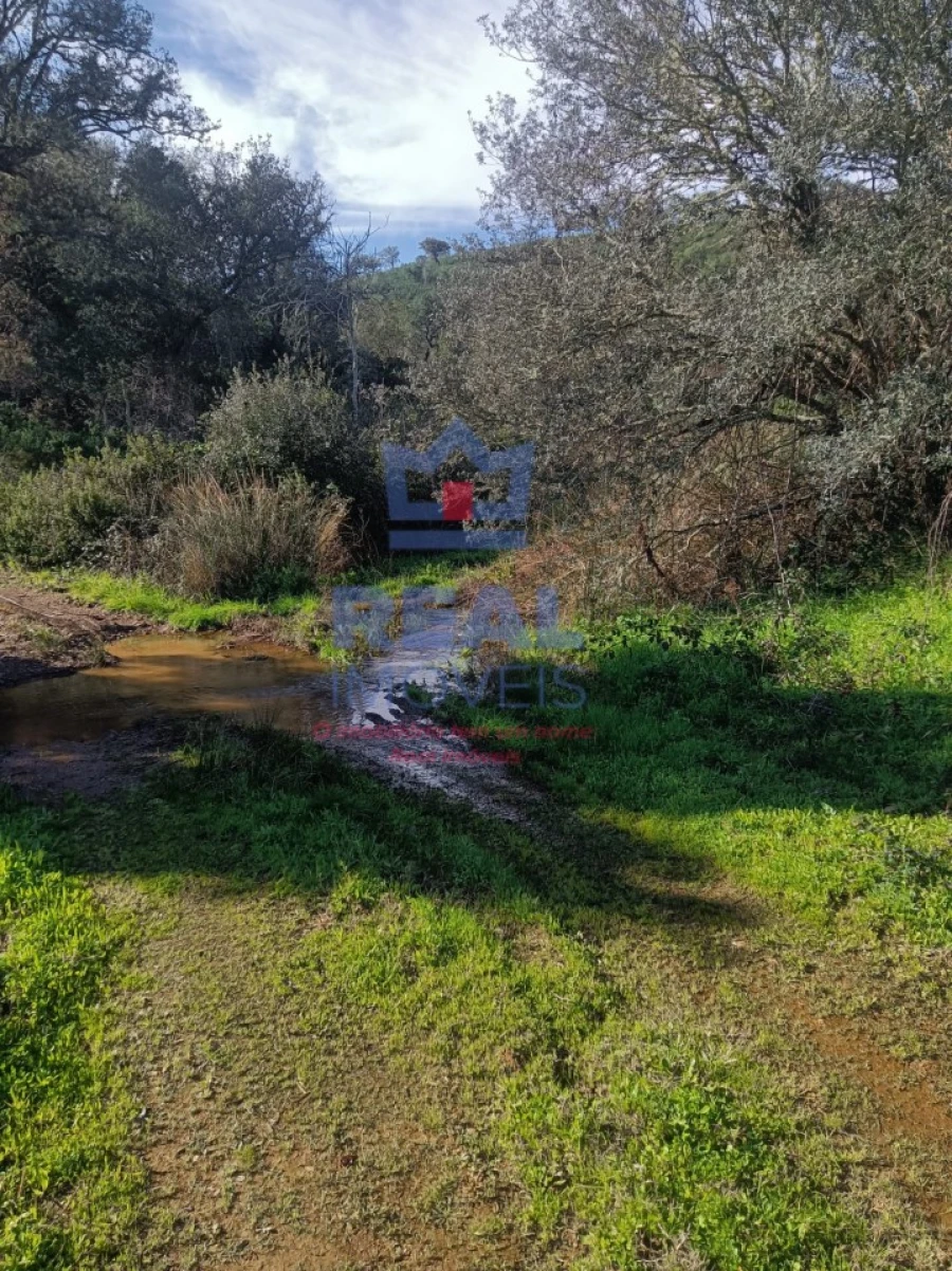 Terreno para Venda em Almodôvar e Graça dos Padrões Foto 3