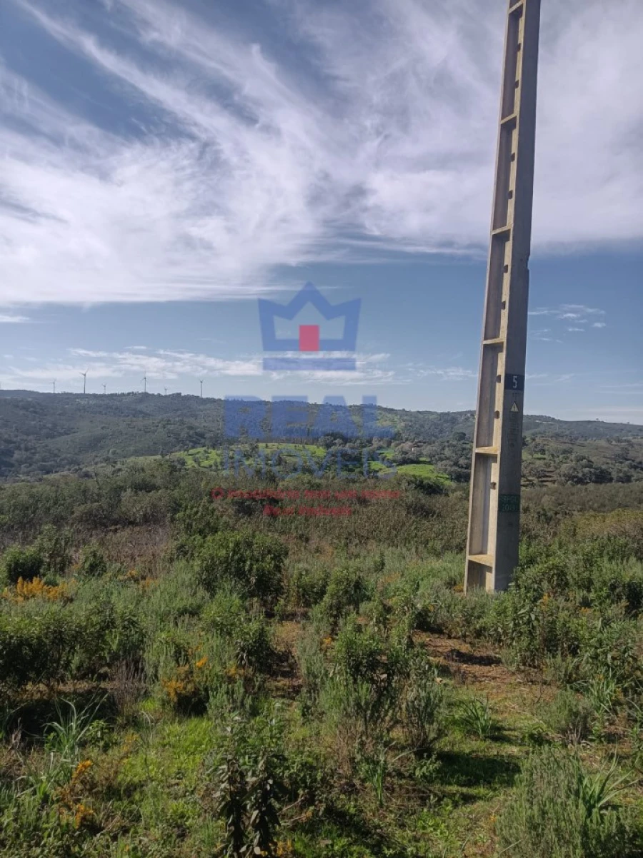 Terreno para Venda em Almodôvar e Graça dos Padrões Foto 4