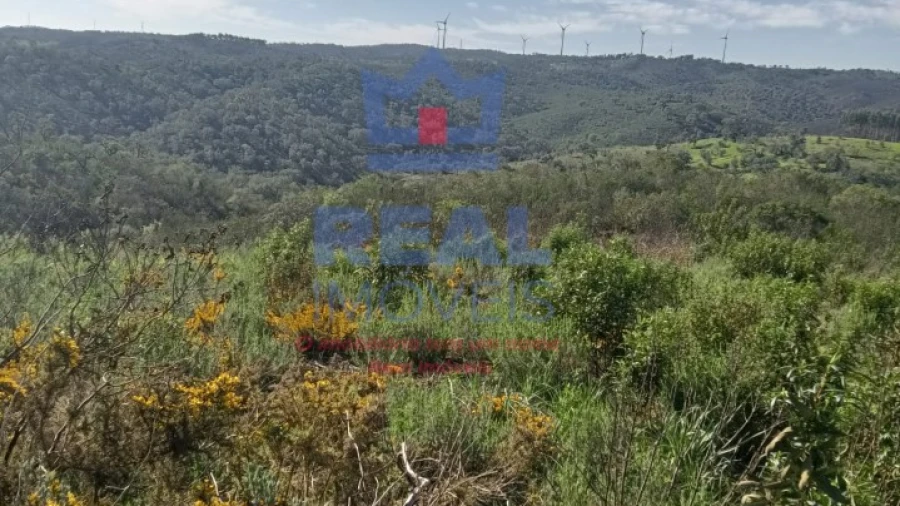 Terreno para Venda em Almodôvar e Graça dos Padrões