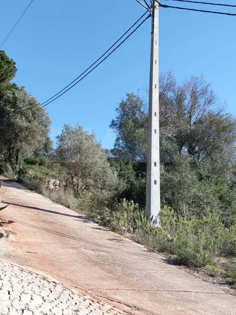 Terreno para Venda em Santa Barbara de Nexe