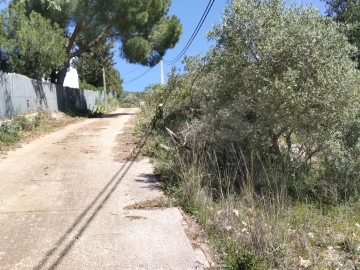 Terreno para Venda em Santa Barbara de Nexe