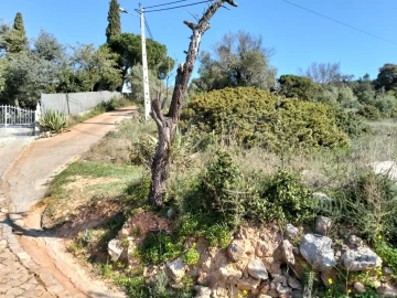 Terreno para Venda em Santa Barbara de Nexe