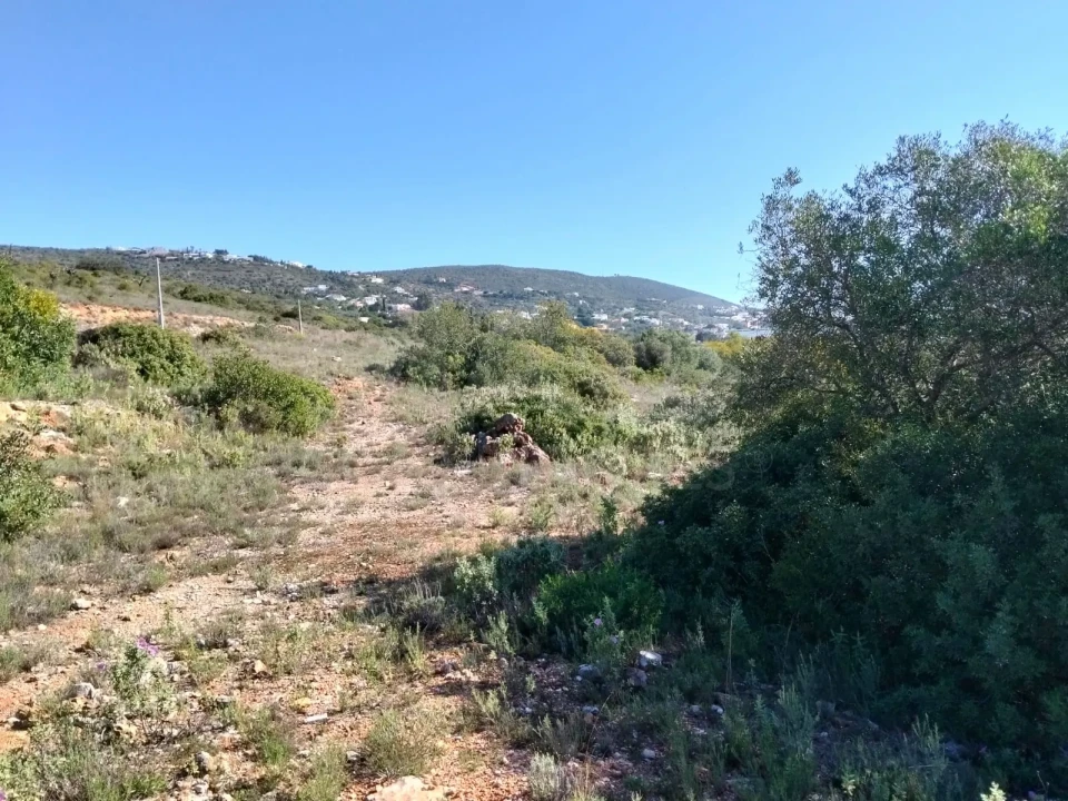 Terreno para Venda em Santa Barbara de Nexe Foto 6