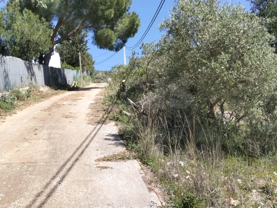 Terreno para Venda em Santa Barbara de Nexe Foto 8