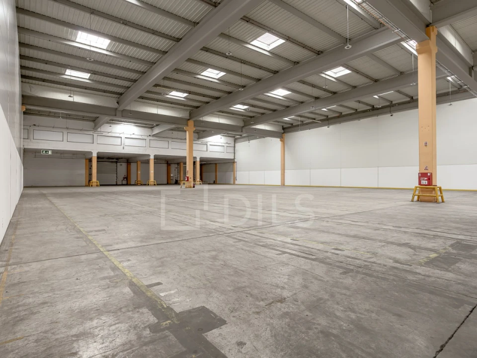 Armazém para Arrendamento em Quinta do Anjo Foto 9