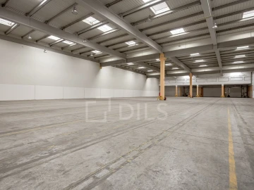 Armazém para Arrendamento em Quinta do Anjo