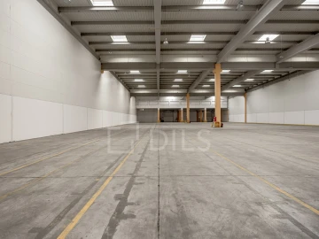 Armazém para Arrendamento em Quinta do Anjo