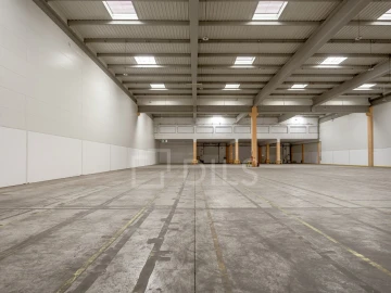 Armazém para Arrendamento em Quinta do Anjo