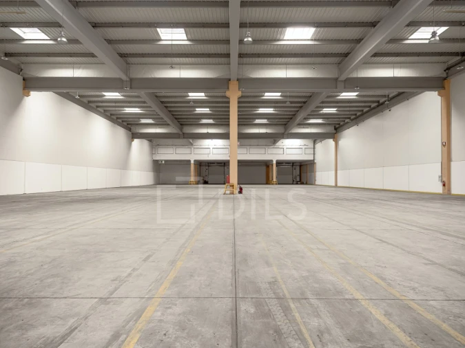 Armazém para Arrendamento em Quinta do Anjo Foto 3