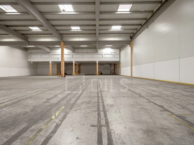 Armazém para Arrendamento em Quinta do Anjo Foto 11