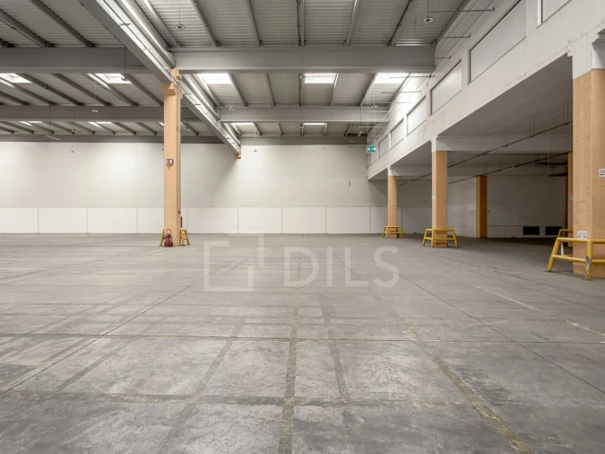 Armazém para Arrendamento em Quinta do Anjo Foto 13