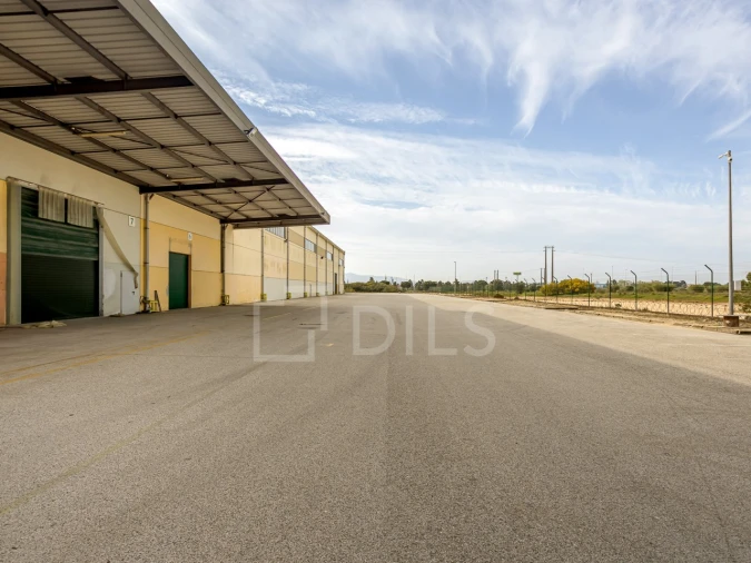 Armazém para Arrendamento em Quinta do Anjo Foto 16