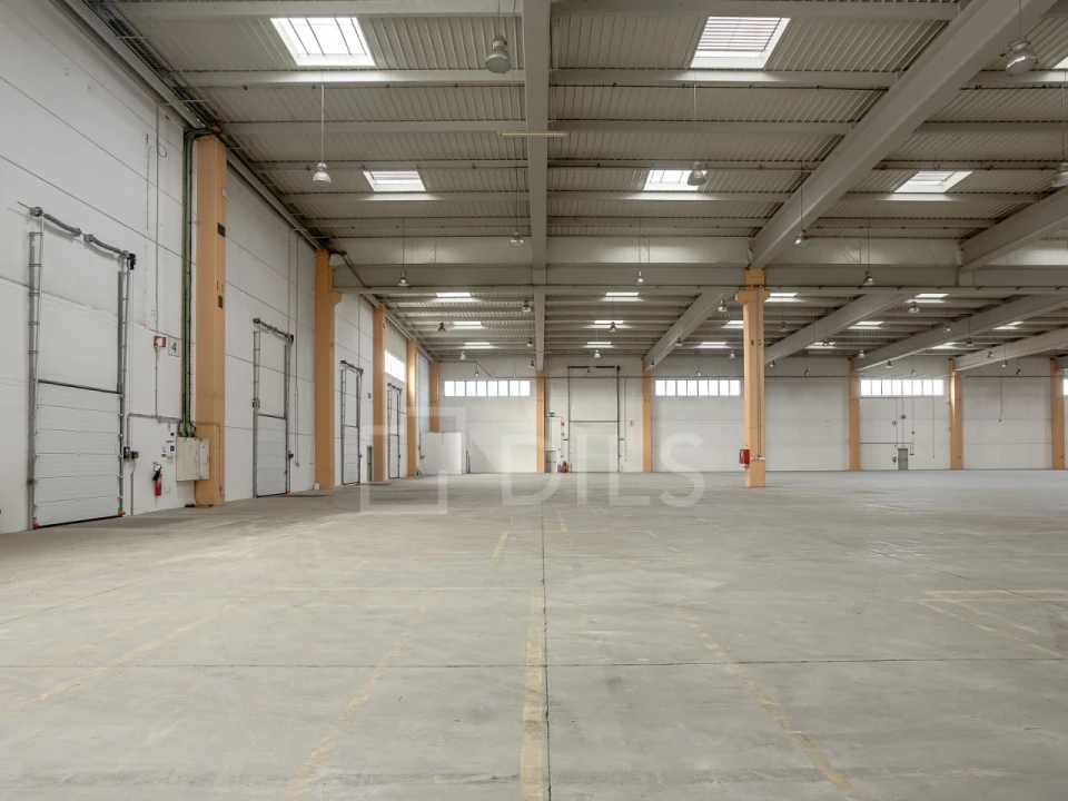 Armazém para Arrendamento em Quinta do Anjo Foto 12