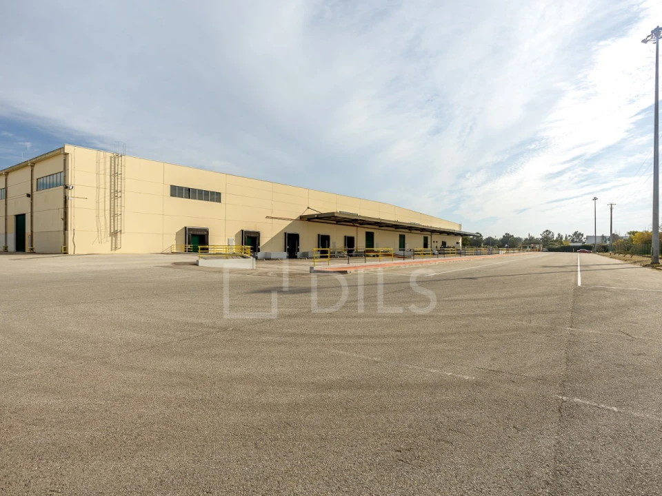 Armazém para Arrendamento em Quinta do Anjo Foto 20