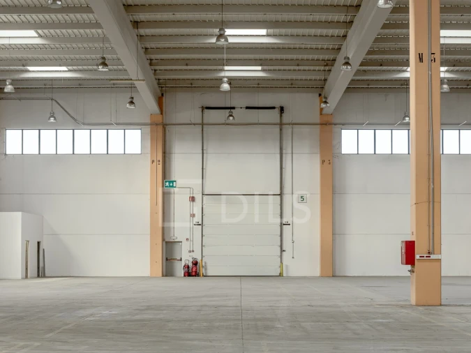 Armazém para Arrendamento em Quinta do Anjo Foto 13