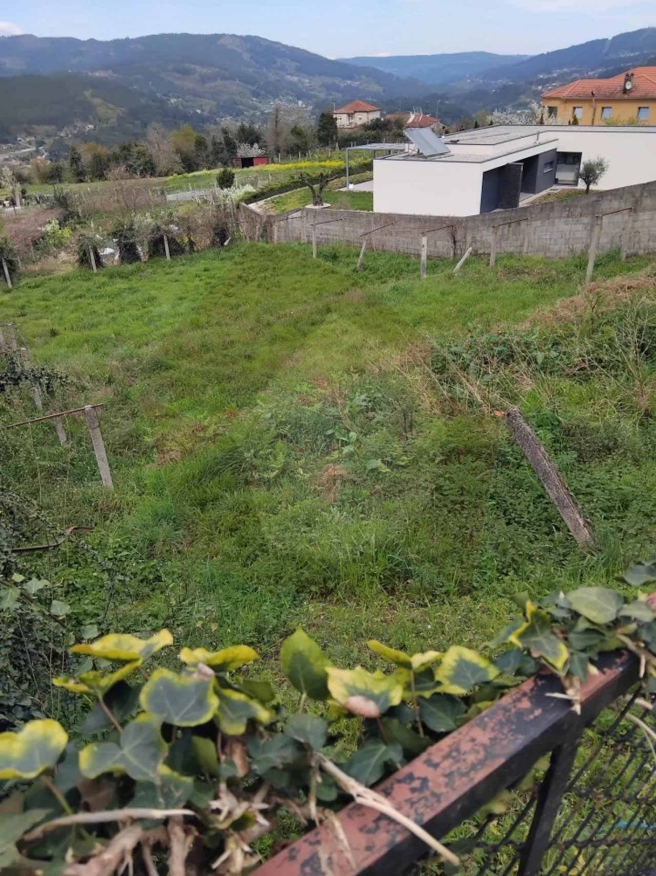 Terreno Misto para Venda em Chaviães e Paços Foto 4