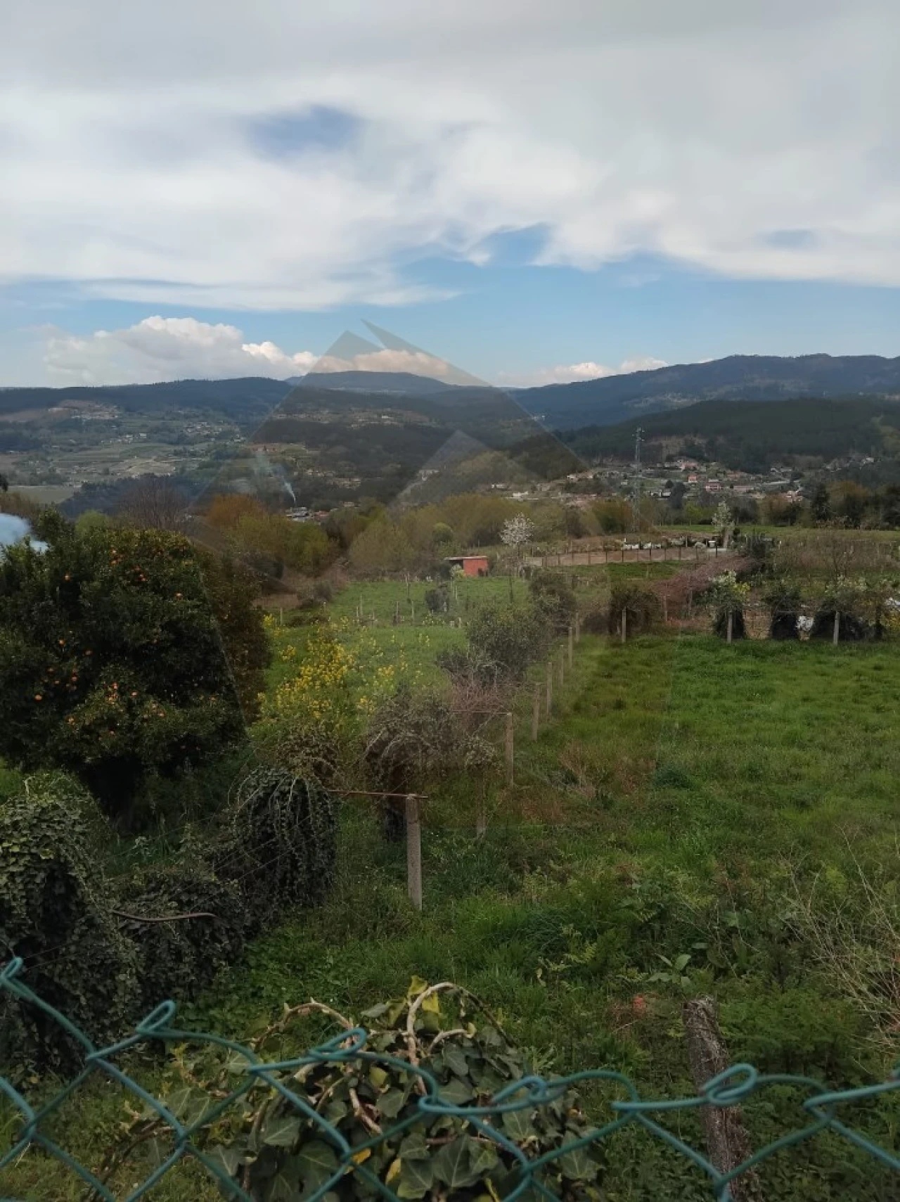 Terreno Misto para Venda em Chaviães e Paços Foto 5