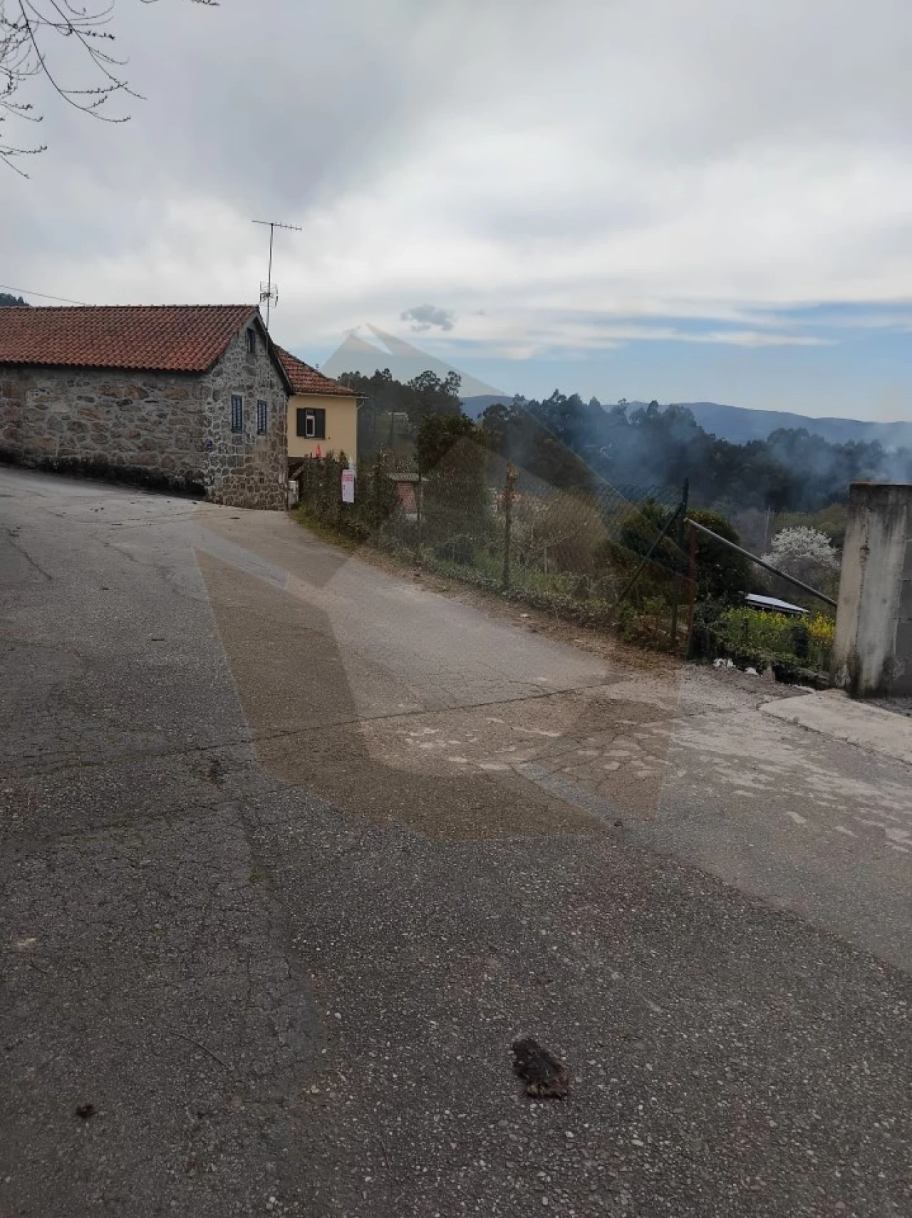 Terreno Misto para Venda em Chaviães e Paços Foto 8