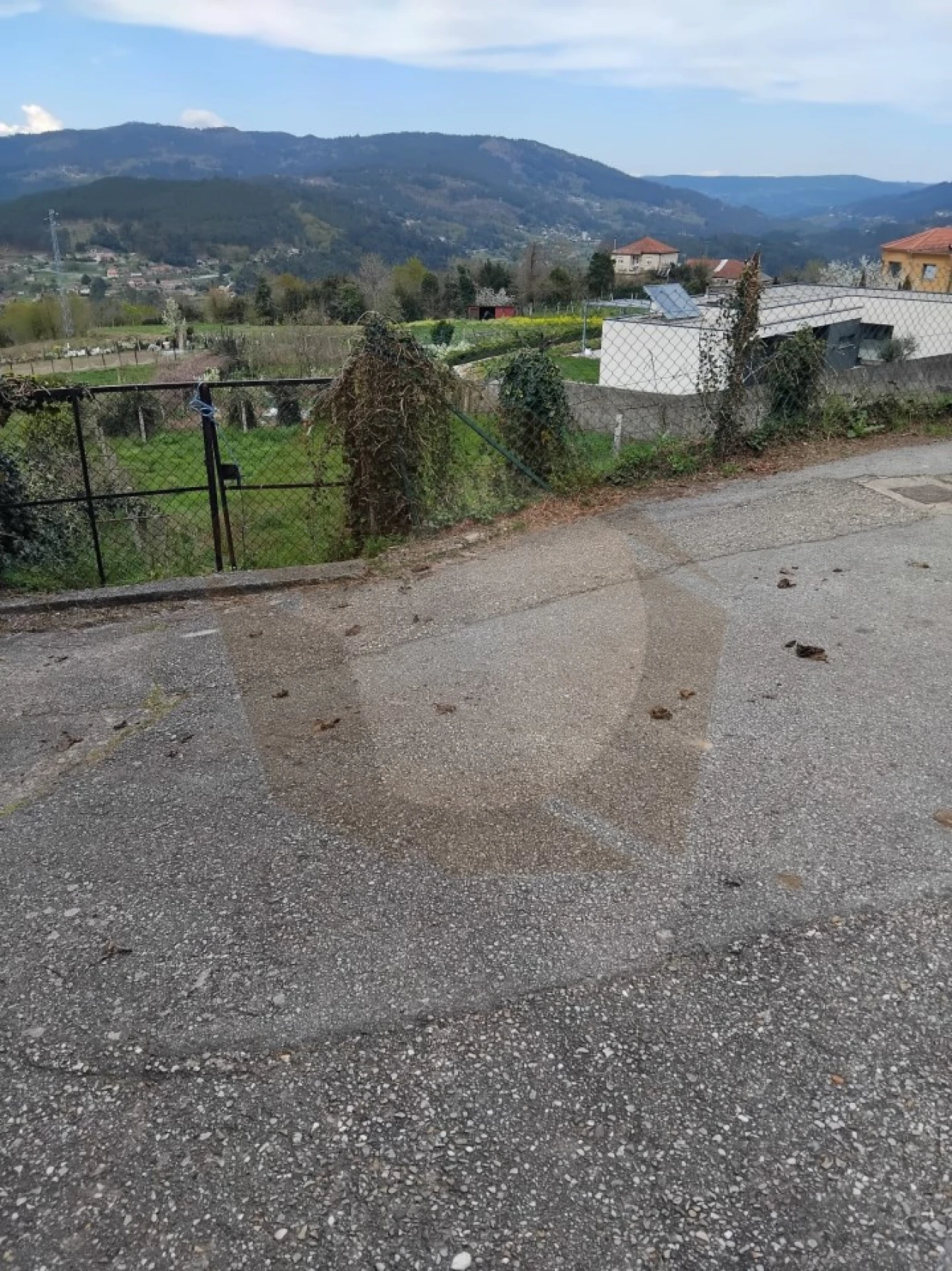 Terreno Misto para Venda em Chaviães e Paços Foto 9