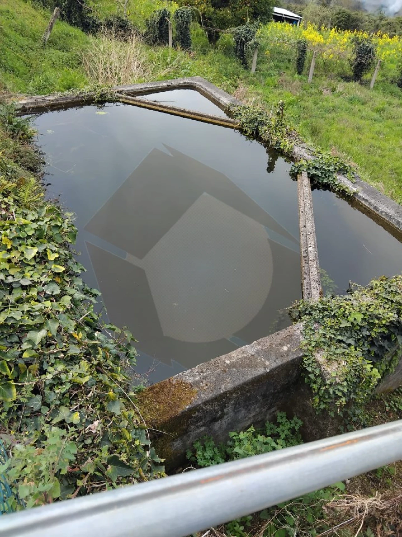 Terreno Misto para Venda em Chaviães e Paços Foto 10