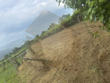 Terreno Misto para Venda em Chaviães e Paços