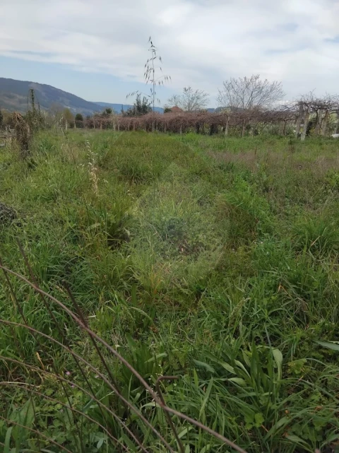 Terreno Misto para Venda em Chaviães e Paços