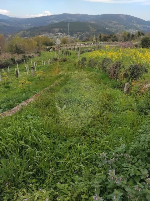 Terreno Misto para Venda em Chaviães e Paços