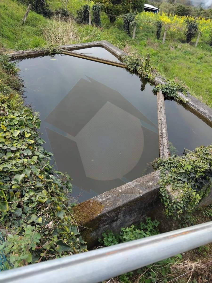 Terreno Misto para Venda em Chaviães e Paços Foto 10