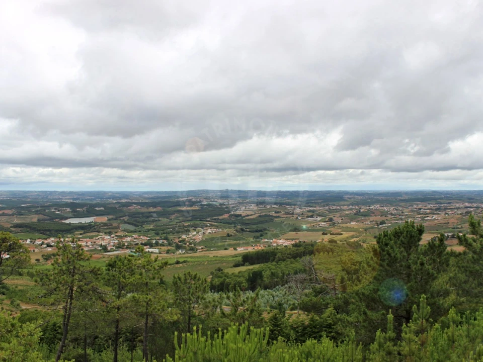 Terreno Agricola ou Rústico para Venda em Lamas e Cercal Foto 23