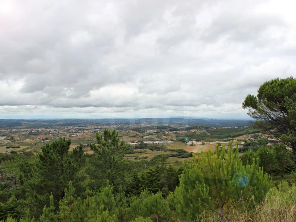 Terreno Agricola ou Rústico para Venda em Lamas e Cercal Foto 24