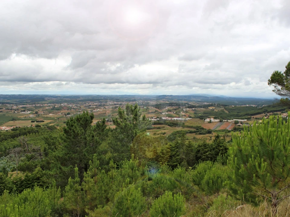 Terreno Agricola ou Rústico para Venda em Lamas e Cercal Foto 25