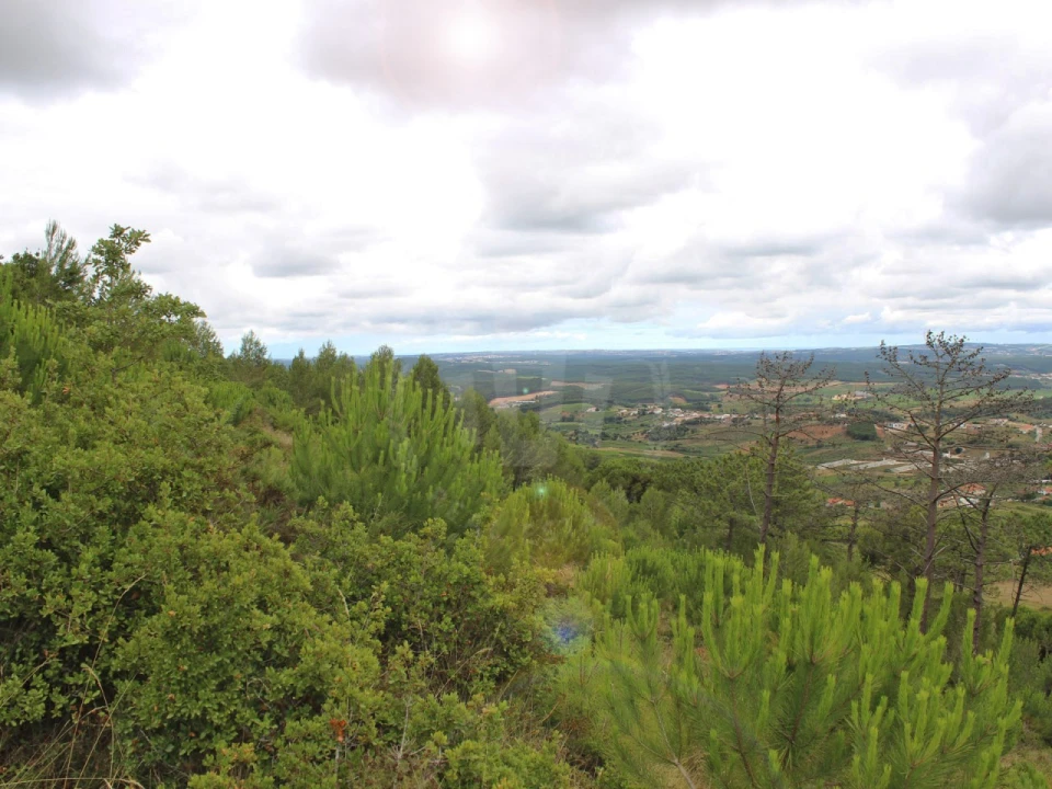 Terreno Agricola ou Rústico para Venda em Lamas e Cercal Foto 30