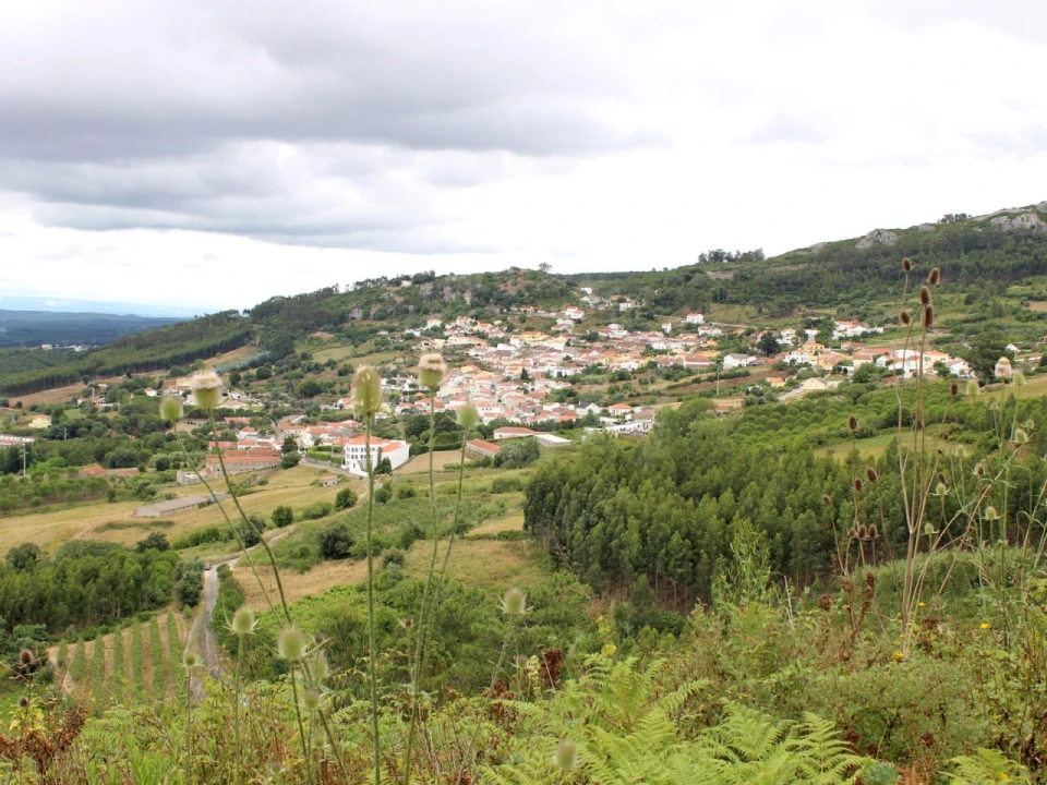 Terreno Agricola ou Rústico para Venda em Lamas e Cercal Foto 31