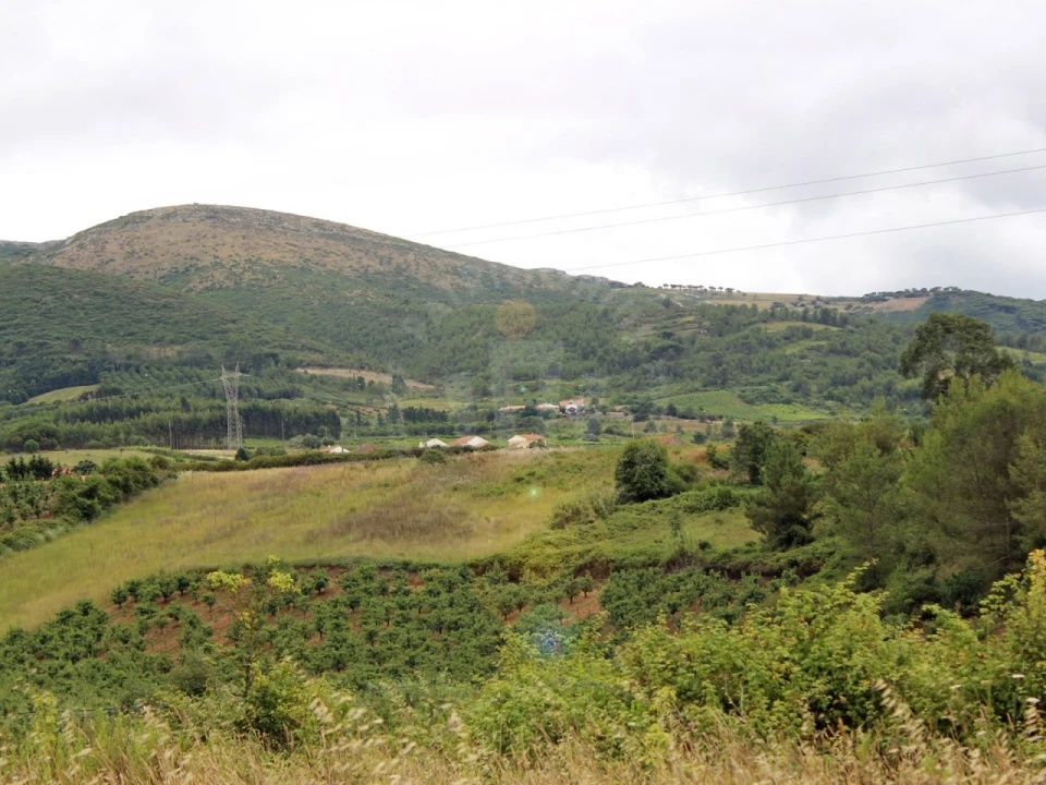 Terreno Agricola ou Rústico para Venda em Lamas e Cercal Foto 33