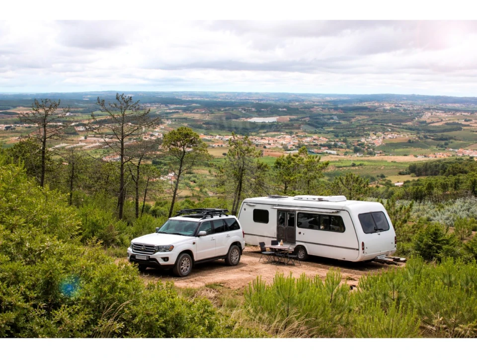 Terreno Agricola ou Rústico para Venda em Lamas e Cercal Foto 3