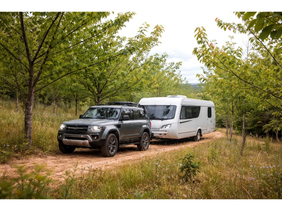 Terreno Agricola ou Rústico para Venda em Lamas e Cercal Foto 9
