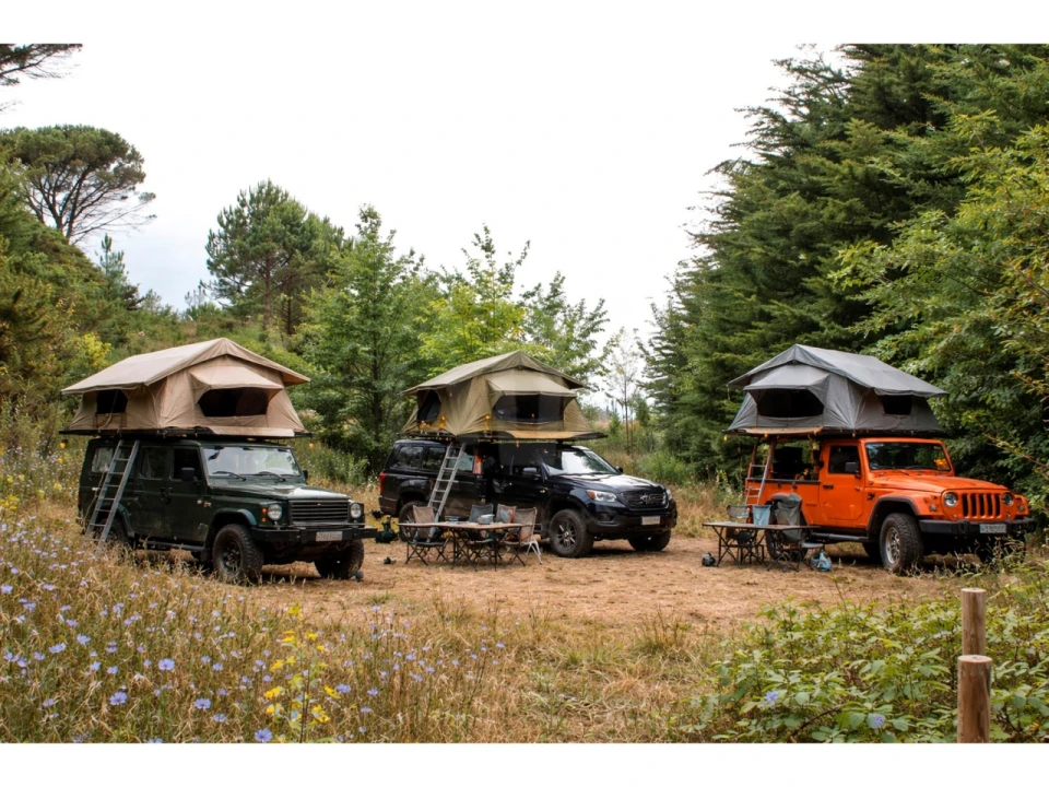 Terreno Agricola ou Rústico para Venda em Lamas e Cercal Foto 13