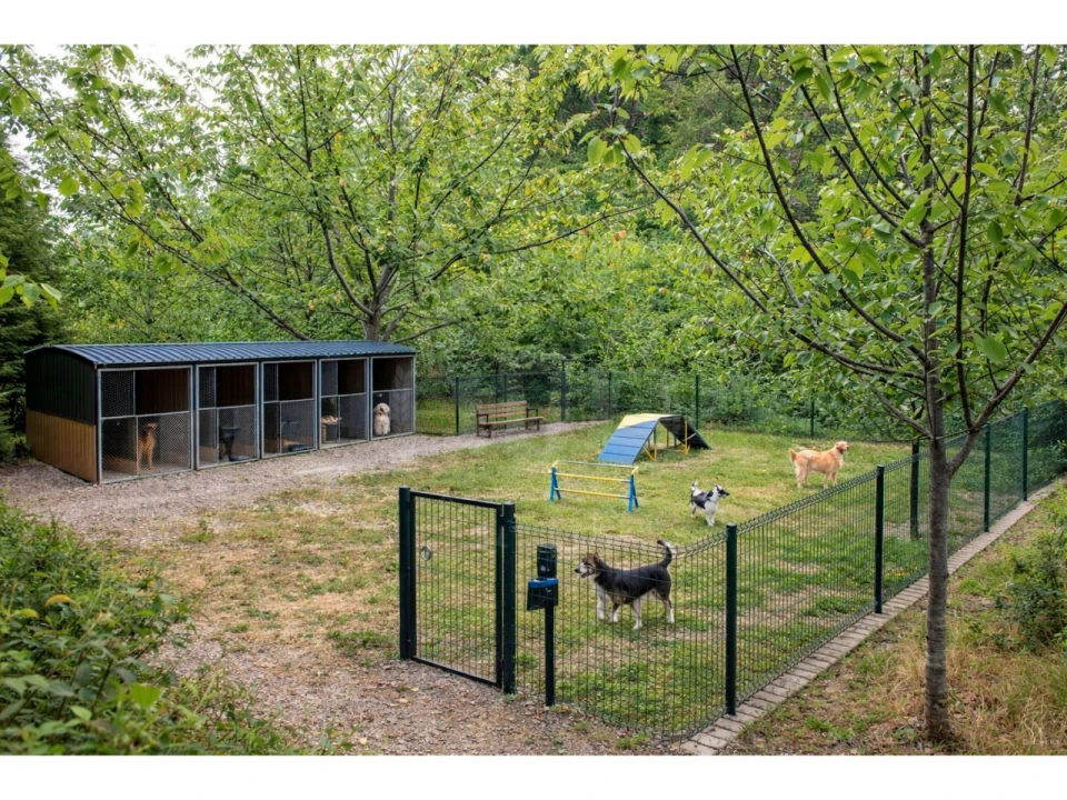 Terreno Agricola ou Rústico para Venda em Lamas e Cercal Foto 19